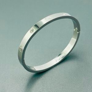 Elegant Silver Stainless Steel Bracelet with Crystal Accents – Timeless Luxury